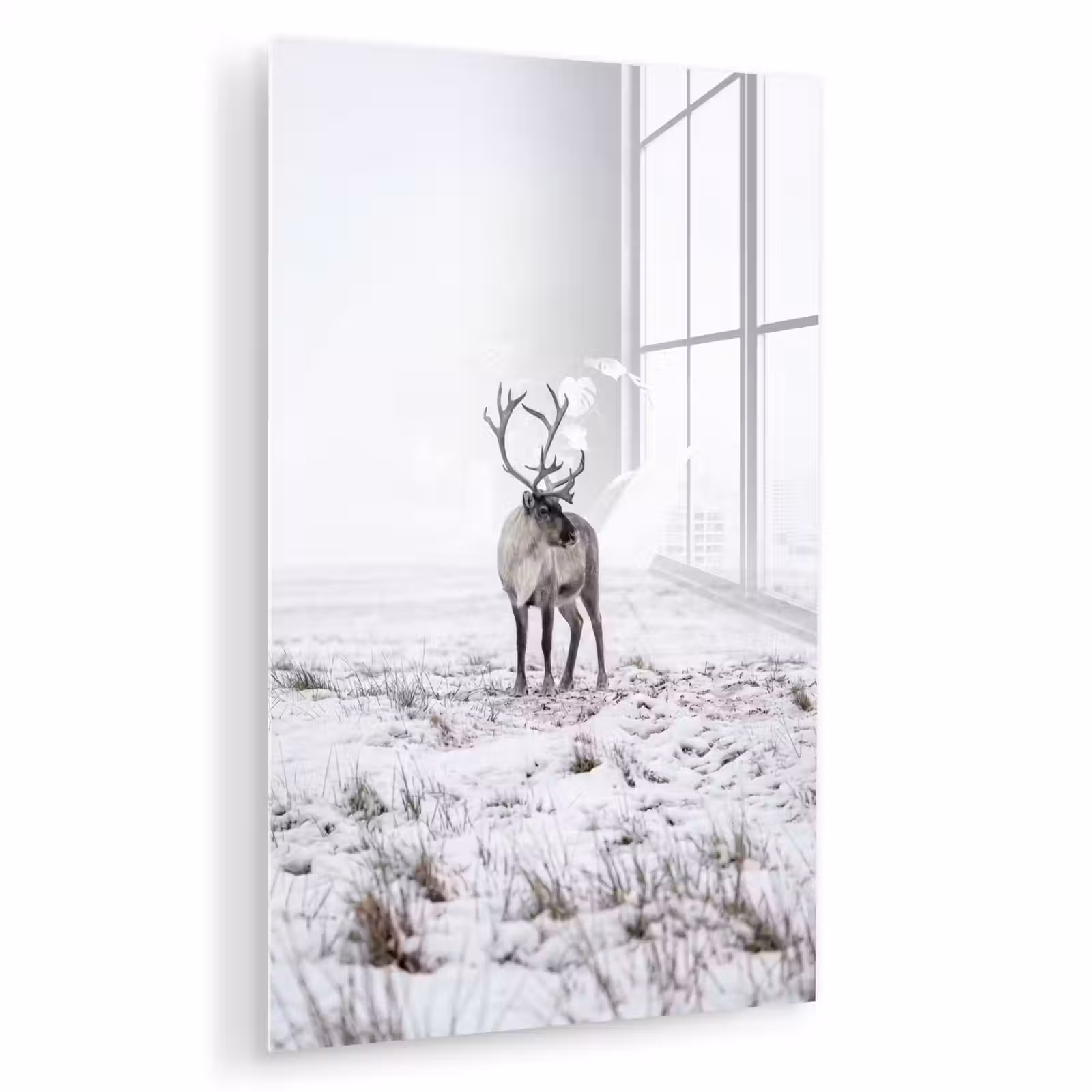 Glas schilderij - Rendier - Gewei - Sneeuw - Winter — 1