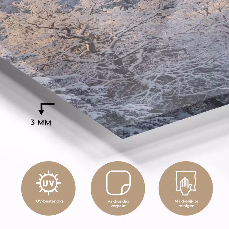 Glas schilderij - Bos - Bergen - Goud - Winter - Warm — 3