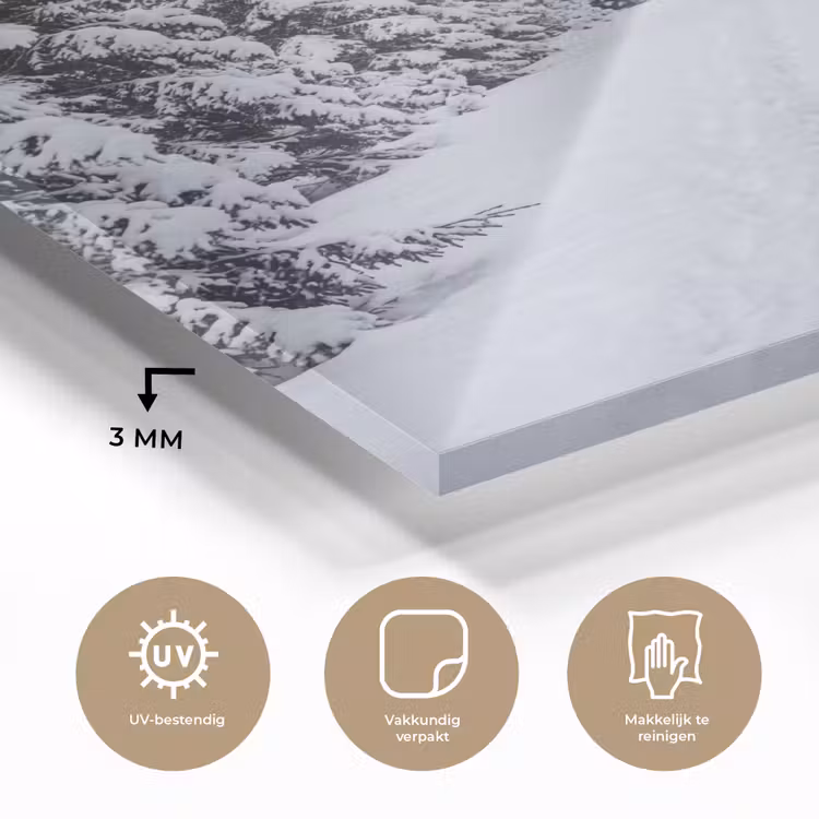 Glas schilderij - Bos - Winter - Sneeuw - Pad - Natuur — 3