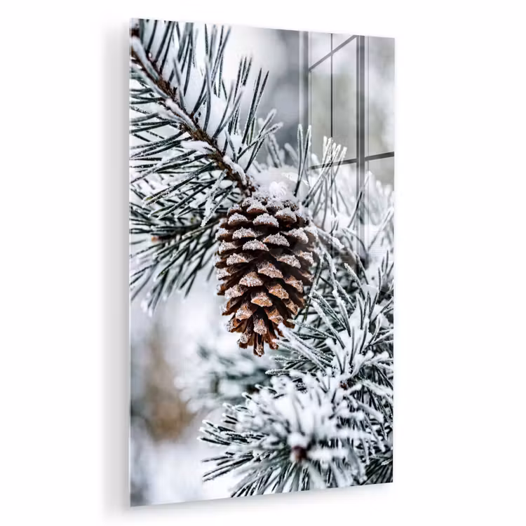 Glas schilderij - Dennenappel - Tak - Sneeuw - Winter - Sfeervol — 1