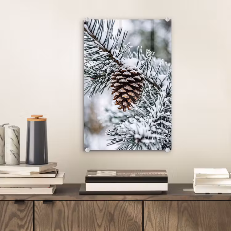 Glas schilderij - Dennenappel - Tak - Sneeuw - Winter - Sfeervol — 2