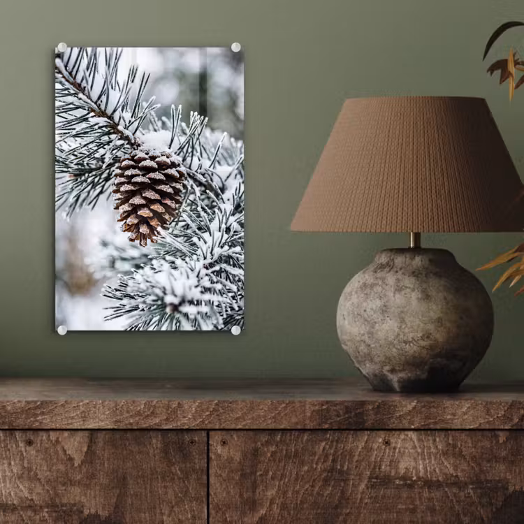 Glas schilderij - Dennenappel - Tak - Sneeuw - Winter - Sfeervol — 4