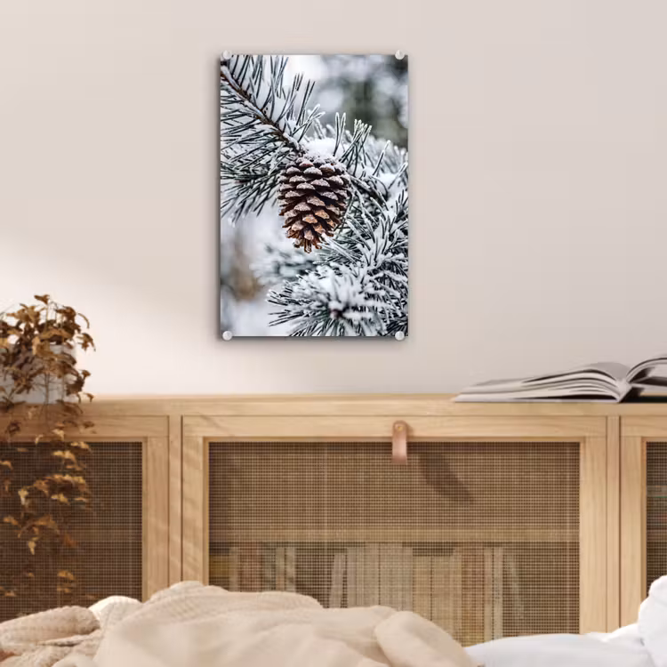 Glas schilderij - Dennenappel - Tak - Sneeuw - Winter - Sfeervol — 5