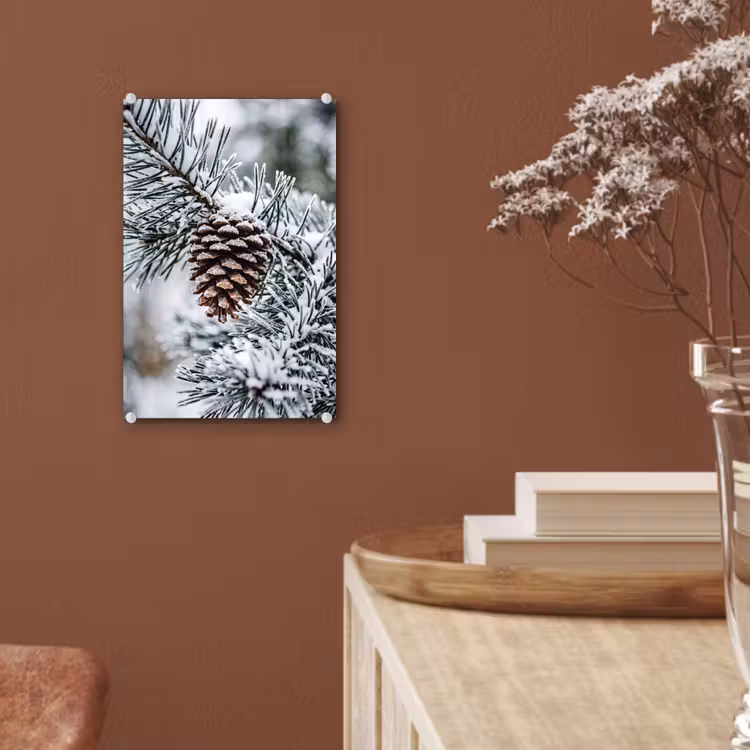 Glas schilderij - Dennenappel - Tak - Sneeuw - Winter - Sfeervol — 6
