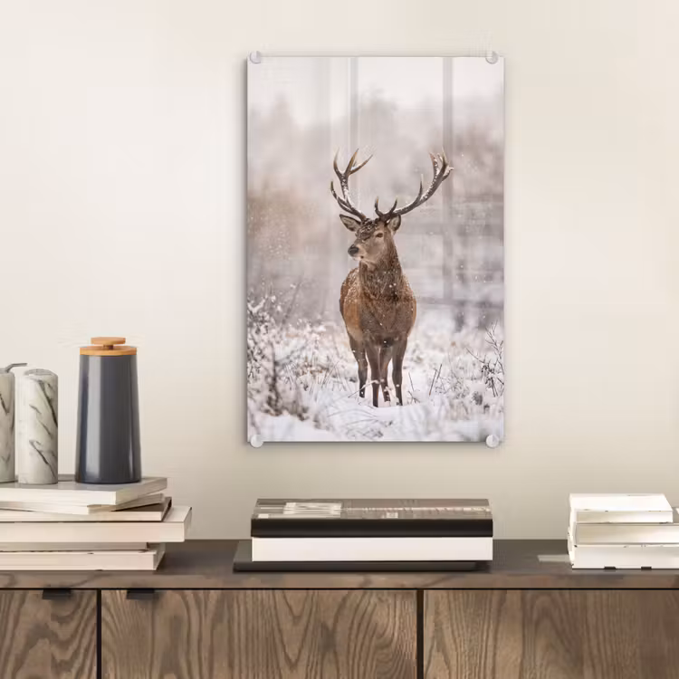 Glas schilderij - Edelhert - Bos - Sneeuw - Winter - Majestueus — 2