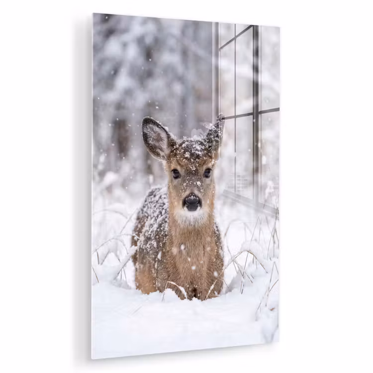 Glas schilderij - Hert - Sneeuw - Bos - Dieren - Vertederend — 1
