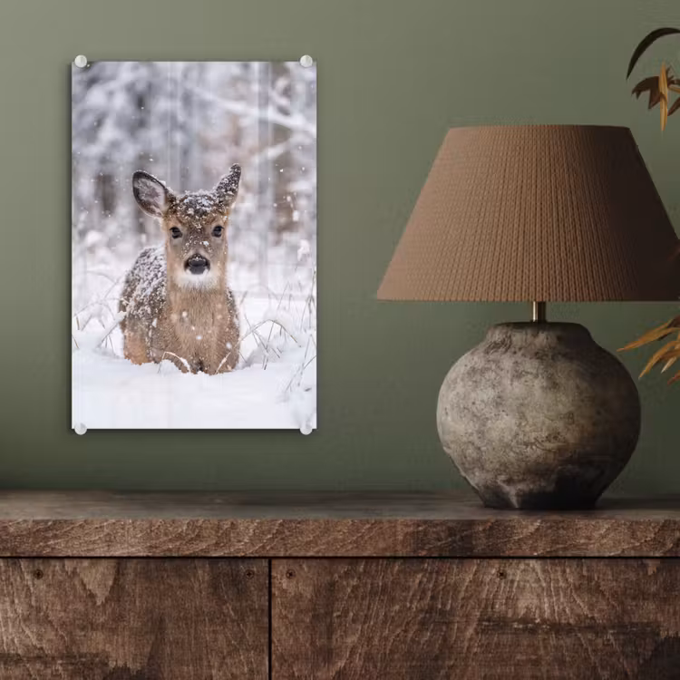 Glas schilderij - Hert - Sneeuw - Bos - Dieren - Vertederend — 4