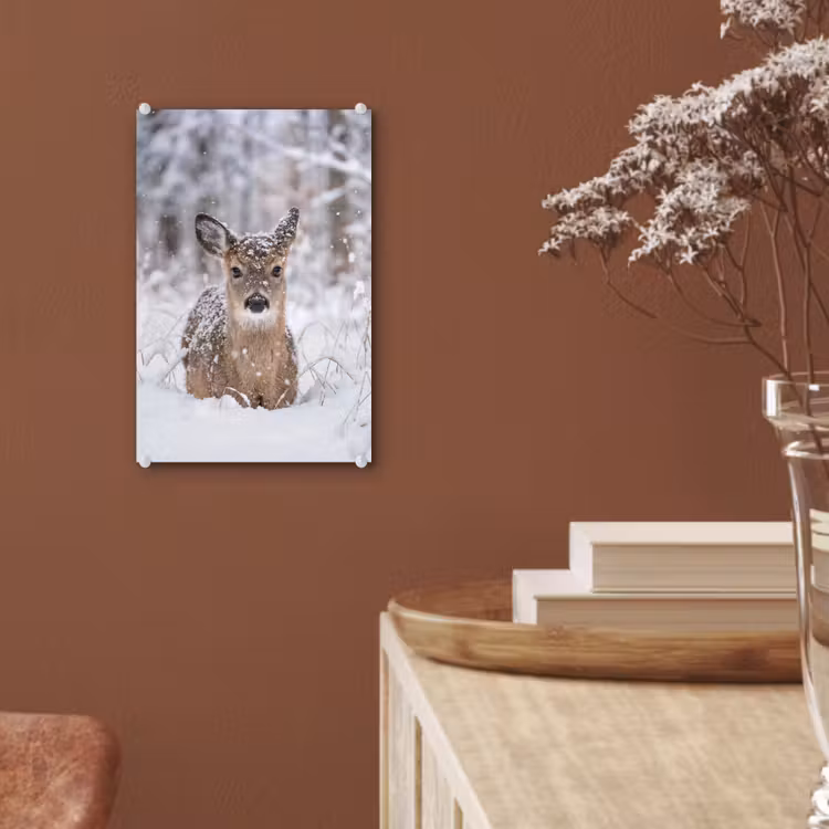 Glas schilderij - Hert - Sneeuw - Bos - Dieren - Vertederend — 6