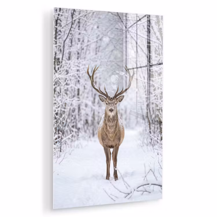Glas schilderij - Hert - Winter - Bos - Natuur - Wit — 1