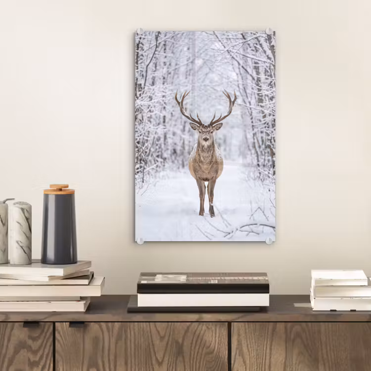 Glas schilderij - Hert - Winter - Bos - Natuur - Wit — 2