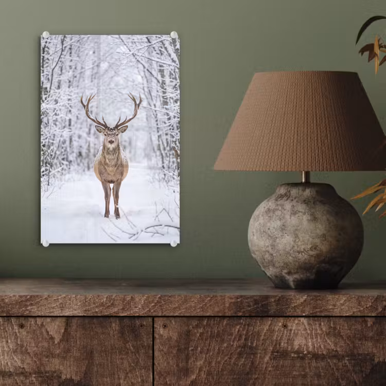 Glas schilderij - Hert - Winter - Bos - Natuur - Wit — 4