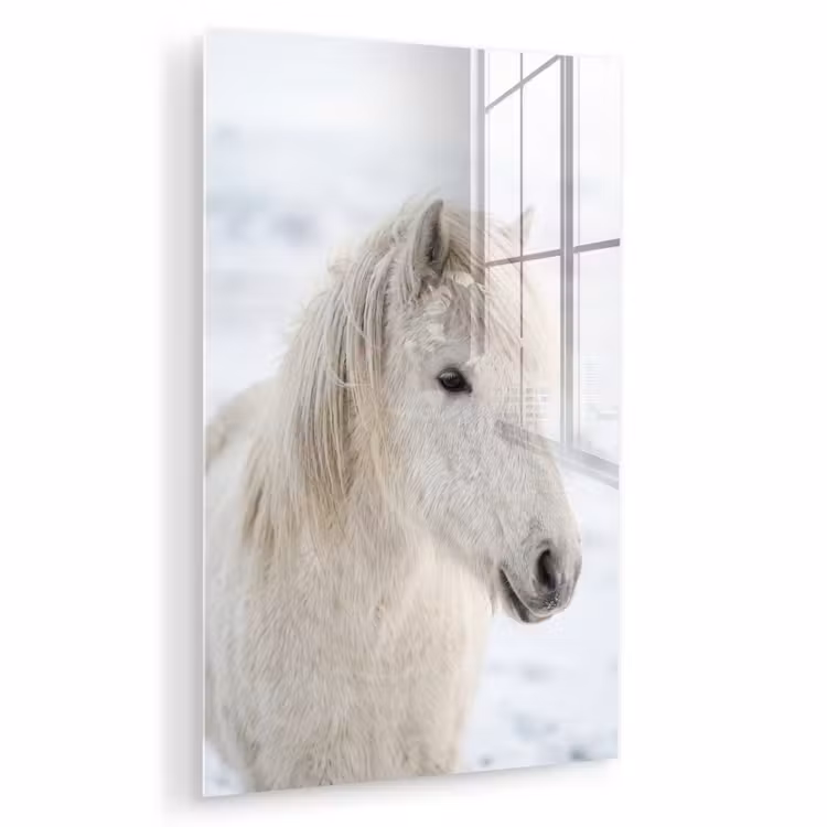 Glas schilderij - Paard - Kop - Winter - Dieren - Wit — 1