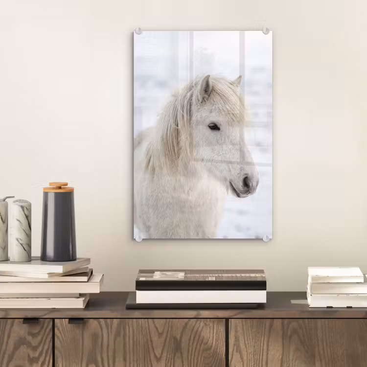 Glas schilderij - Paard - Kop - Winter - Dieren - Wit — 2