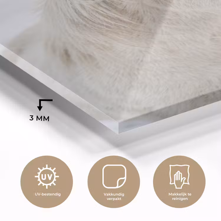 Glas schilderij - Paard - Kop - Winter - Dieren - Wit — 3