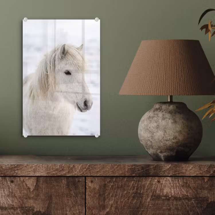 Glas schilderij - Paard - Kop - Winter - Dieren - Wit — 4