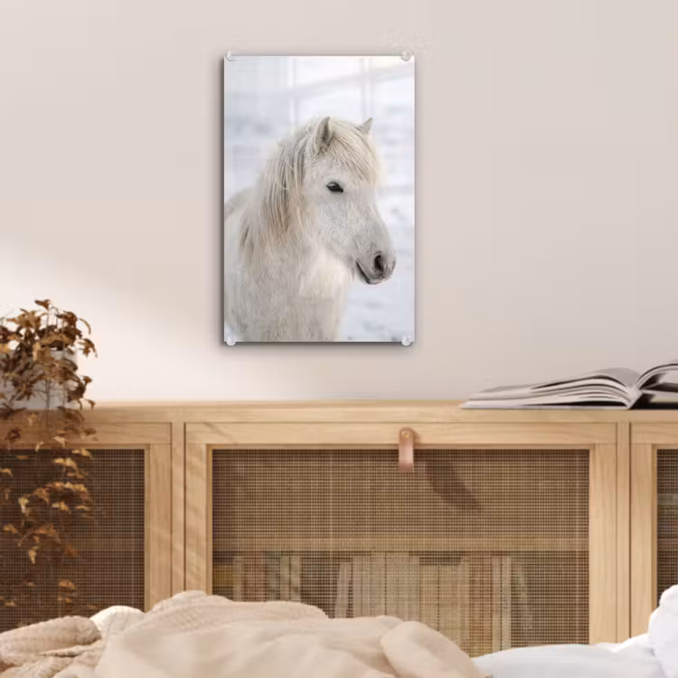 Glas schilderij - Paard - Kop - Winter - Dieren - Wit — 5