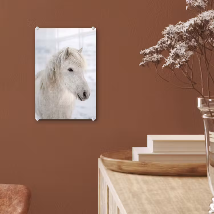 Glas schilderij - Paard - Kop - Winter - Dieren - Wit — 6