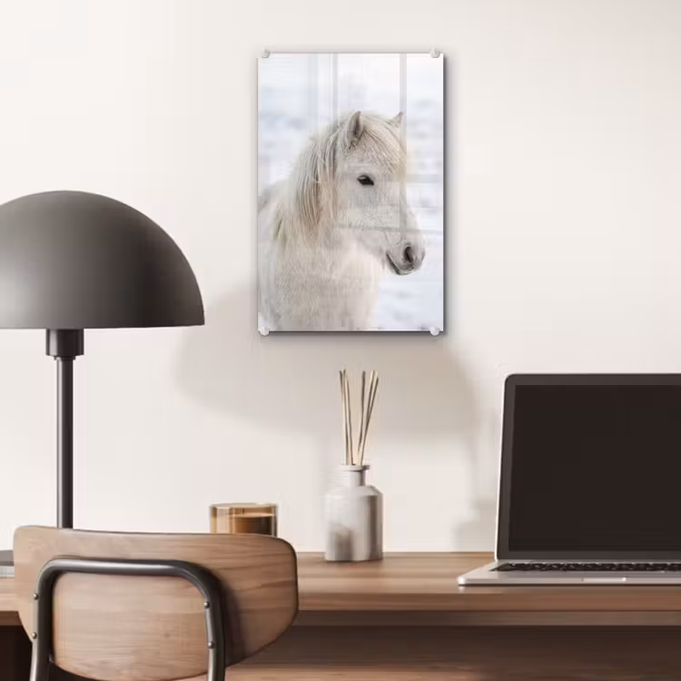Glas schilderij - Paard - Kop - Winter - Dieren - Wit — 7