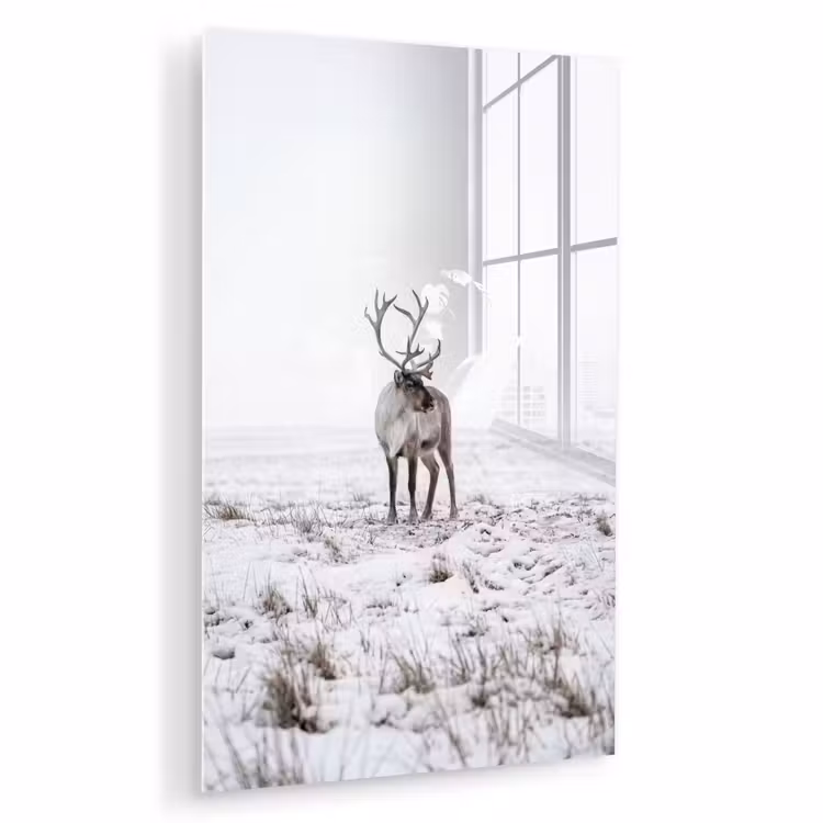 Glas schilderij - Rendier - Gewei - Sneeuw - Winter — 1