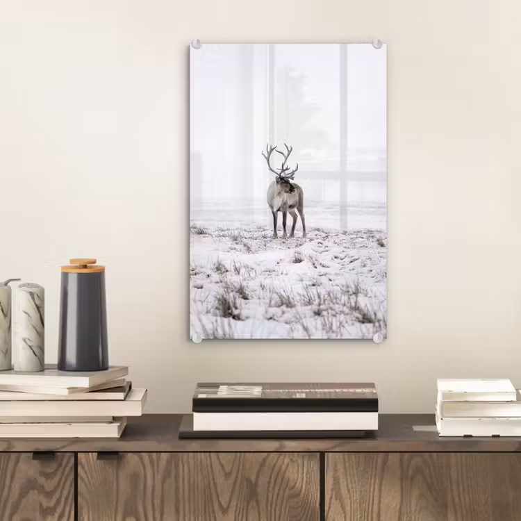Glas schilderij - Rendier - Gewei - Sneeuw - Winter — 2
