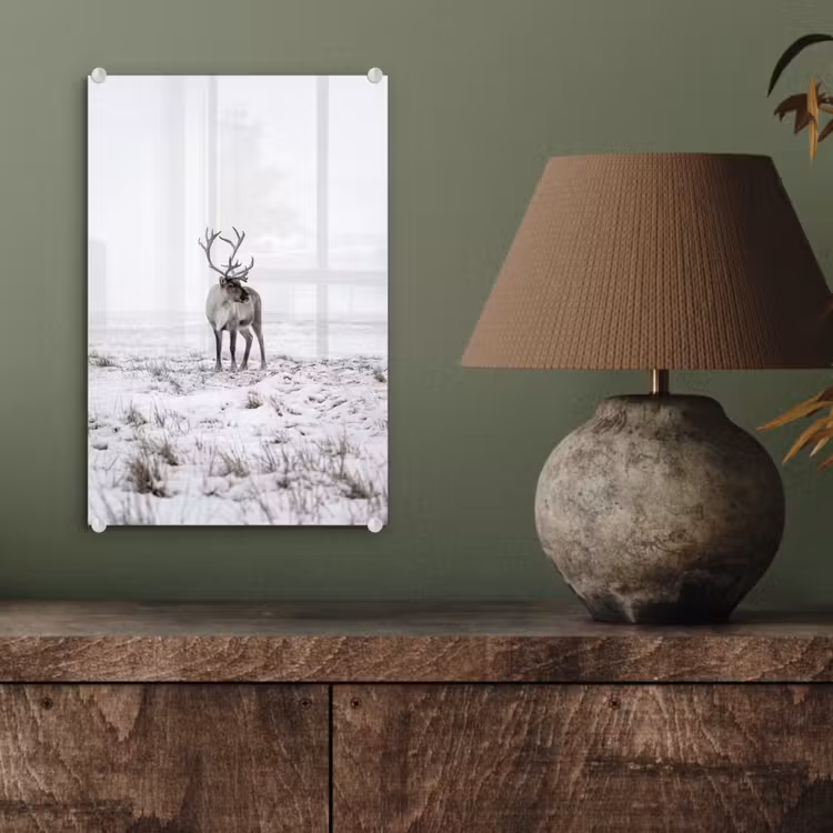 Glas schilderij - Rendier - Gewei - Sneeuw - Winter — 4