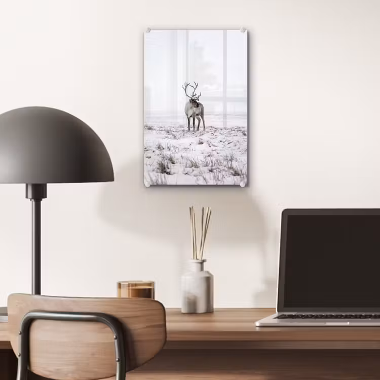 Glas schilderij - Rendier - Gewei - Sneeuw - Winter — 7