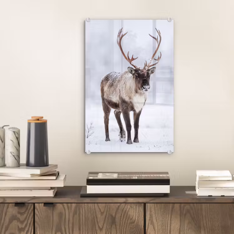 Glas schilderij - Rendier - Gewei - Toendra - Sneeuw - Wild — 2