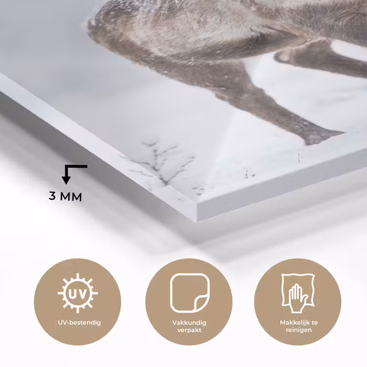 Glas schilderij - Rendier - Gewei - Toendra - Sneeuw - Wild — 3