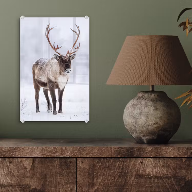Glas schilderij - Rendier - Gewei - Toendra - Sneeuw - Wild — 4