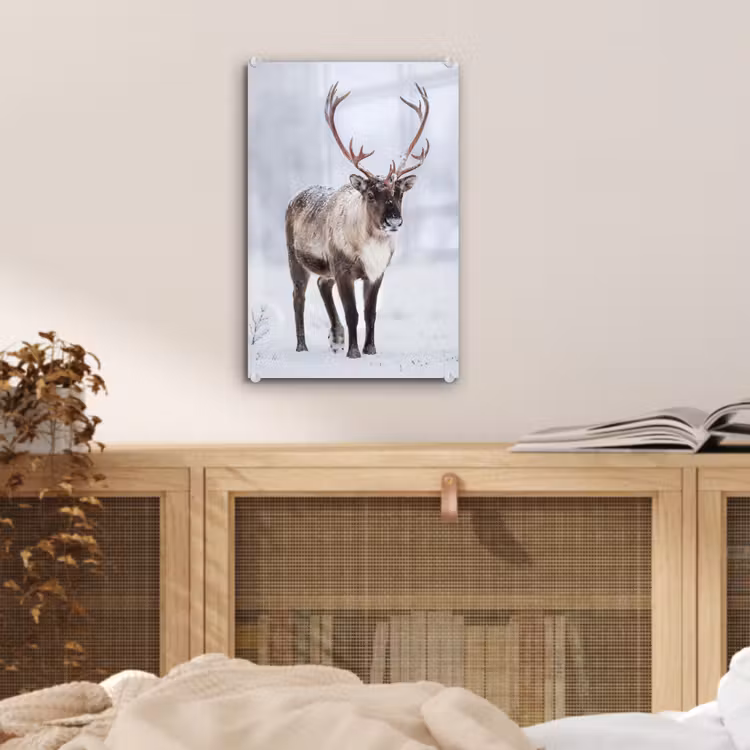 Glas schilderij - Rendier - Gewei - Toendra - Sneeuw - Wild — 5