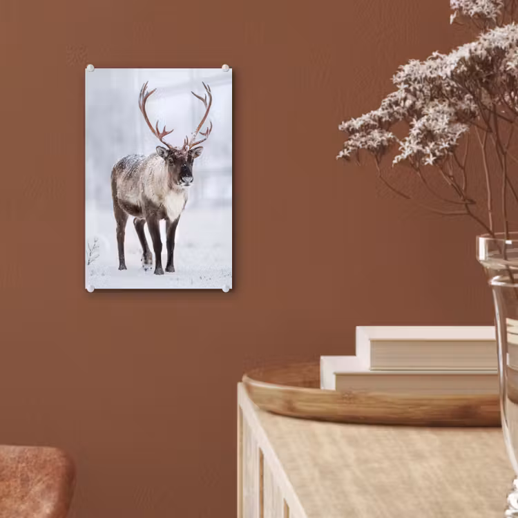 Glas schilderij - Rendier - Gewei - Toendra - Sneeuw - Wild — 6