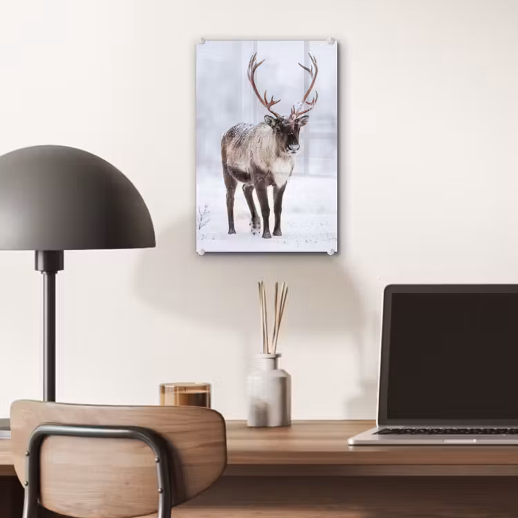 Glas schilderij - Rendier - Gewei - Toendra - Sneeuw - Wild — 7