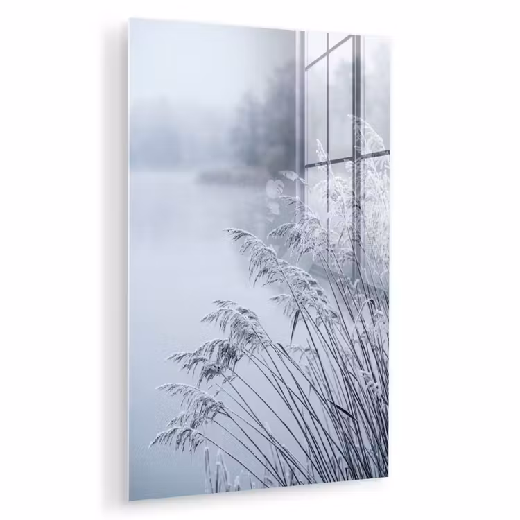 Glas schilderij - Riet - Bevroren - Winter - Natuur — 1