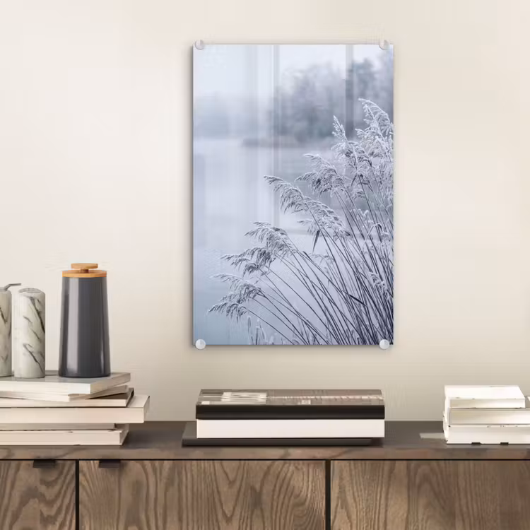 Glas schilderij - Riet - Bevroren - Winter - Natuur — 2