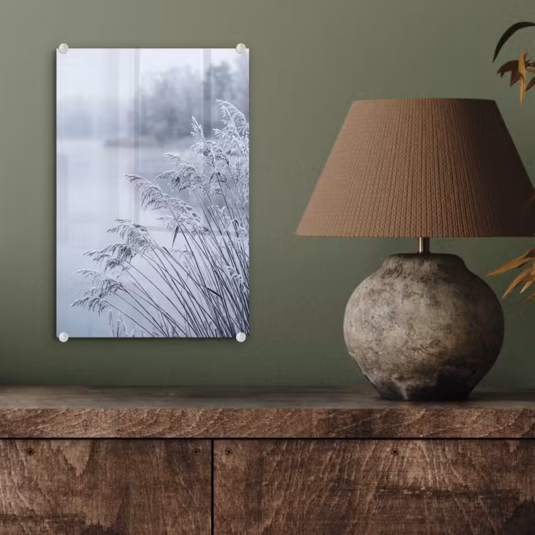 Glas schilderij - Riet - Bevroren - Winter - Natuur — 4