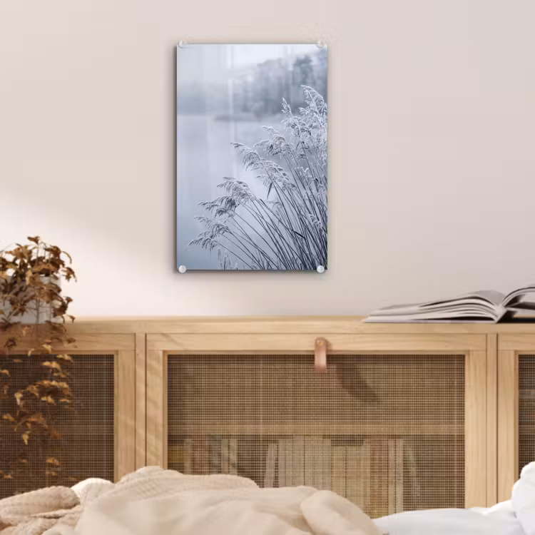 Glas schilderij - Riet - Bevroren - Winter - Natuur — 5