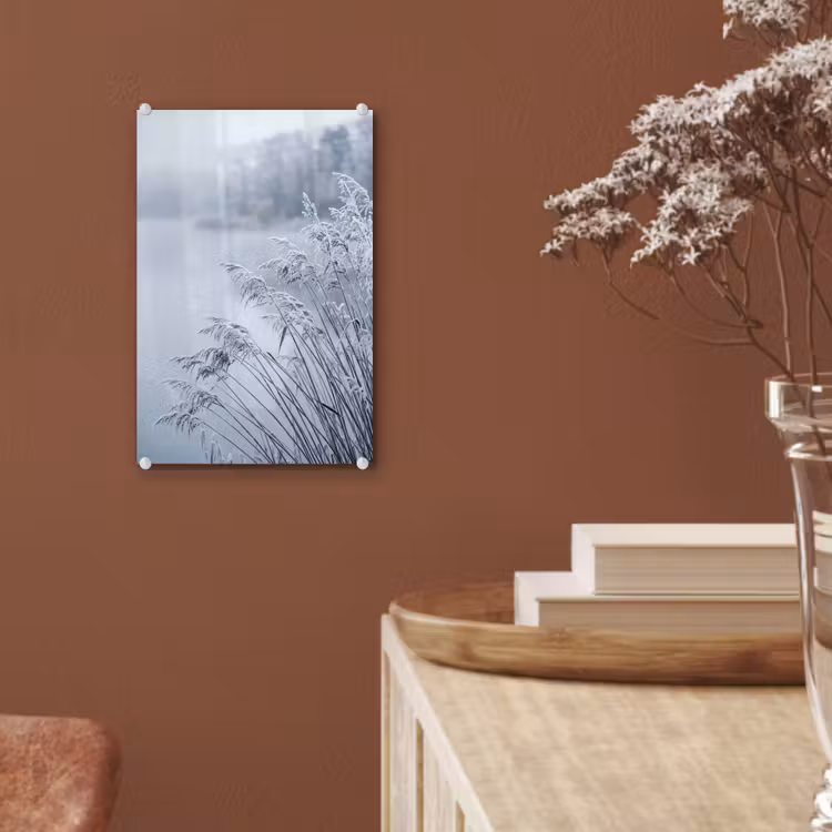 Glas schilderij - Riet - Bevroren - Winter - Natuur — 6