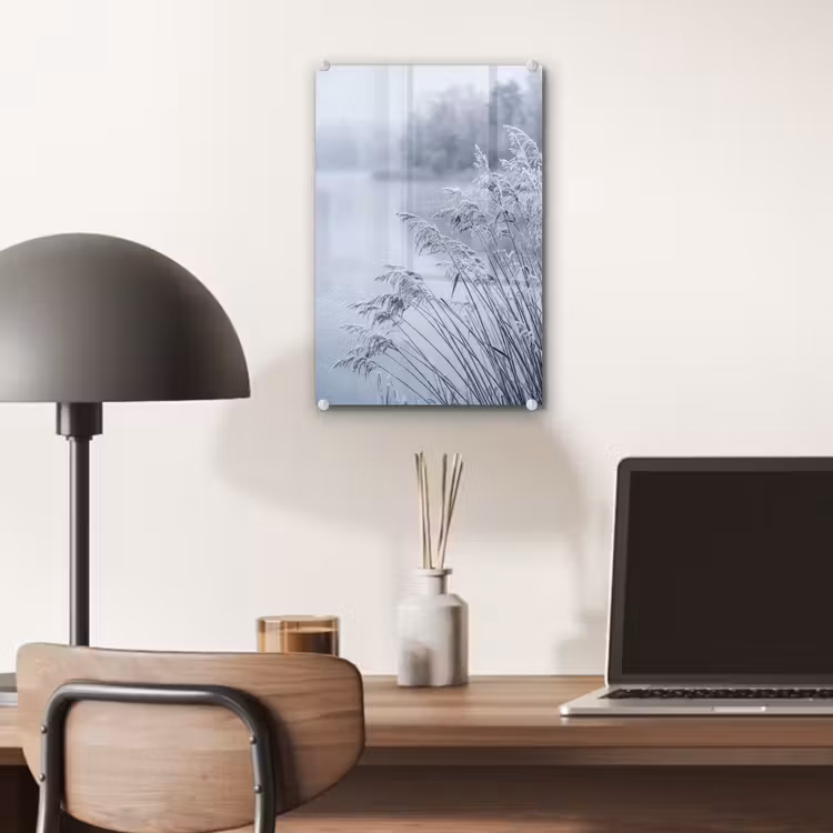 Glas schilderij - Riet - Bevroren - Winter - Natuur — 7