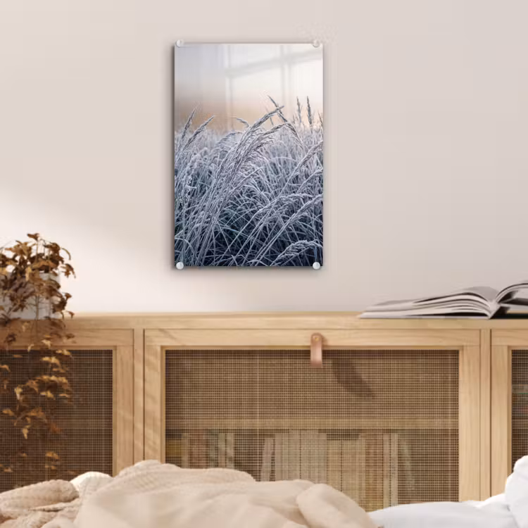 Glas schilderij - Rijp - Gras - Kristallen - Winter - Minimalistisch — 5
