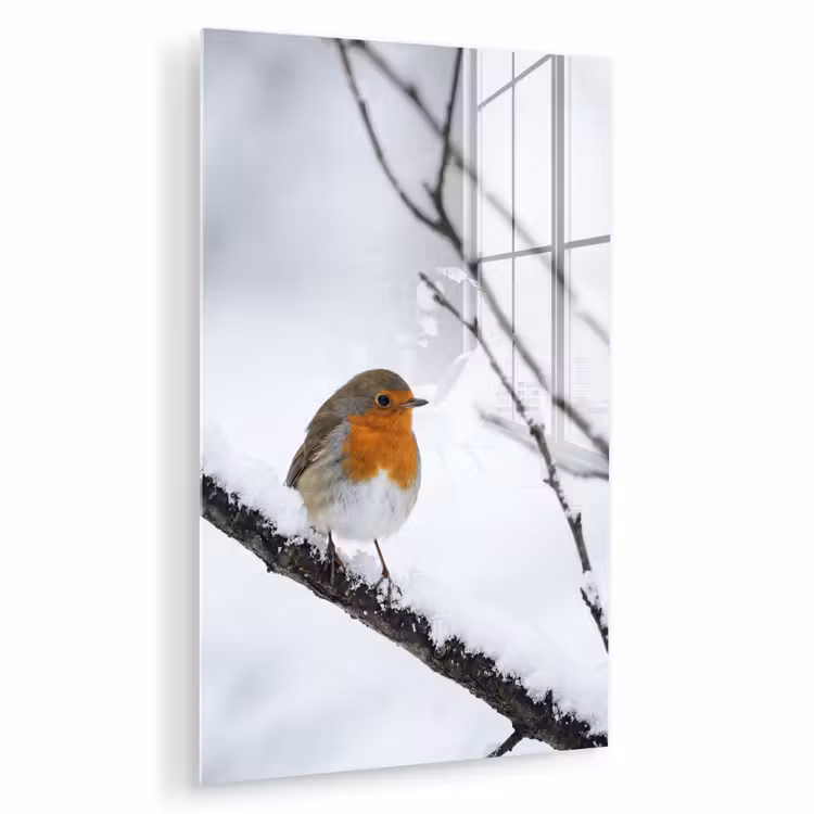 Glas schilderij - Roodborstje - Tak - Sneeuw - Winter - Levendig — 1