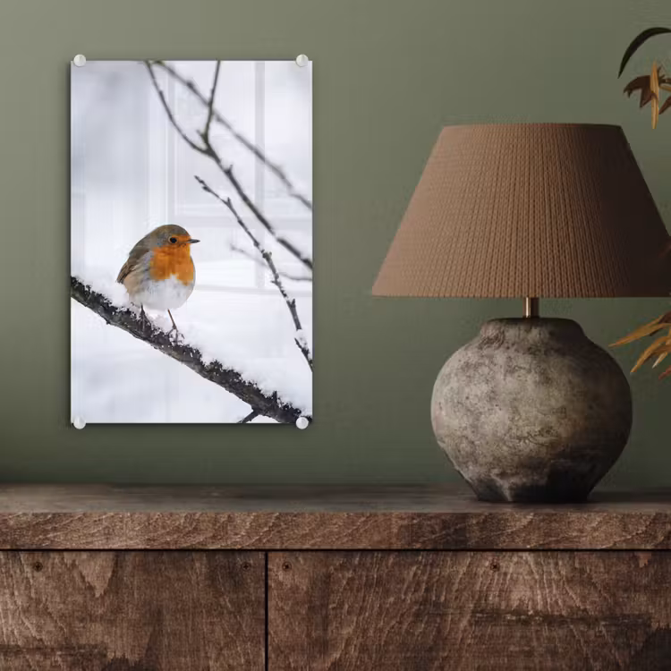 Glas schilderij - Roodborstje - Tak - Sneeuw - Winter - Levendig — 4