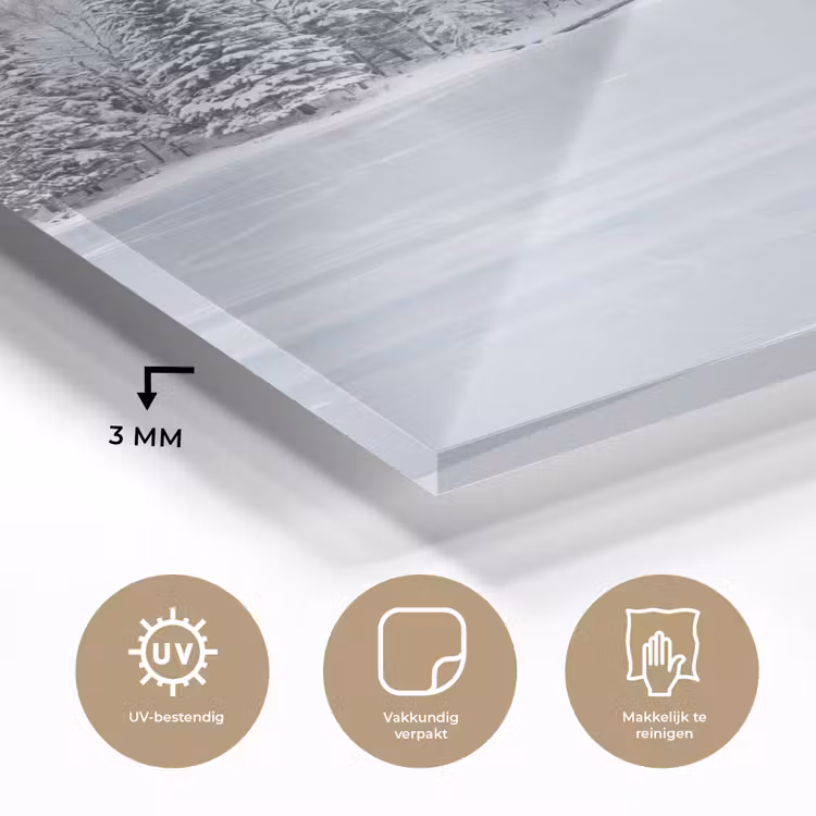 Glas schilderij - Meer - Dennen - IJs - Winter - Rustgevend — 3