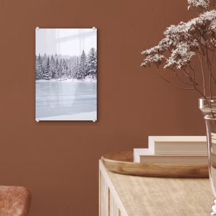 Glas schilderij - Meer - Dennen - IJs - Winter - Rustgevend — 6
