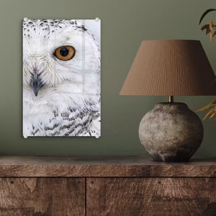 Glas schilderij - Sneeuwuil - Oog - Wildlife - Wit — 4