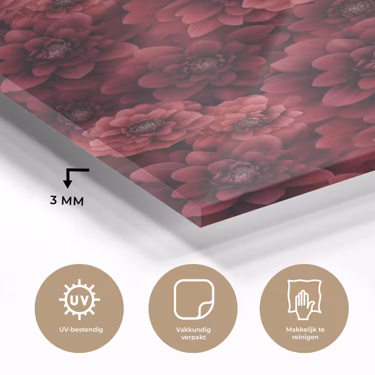 Glas schilderij - Dahlias - Bloemen - Rood — 3