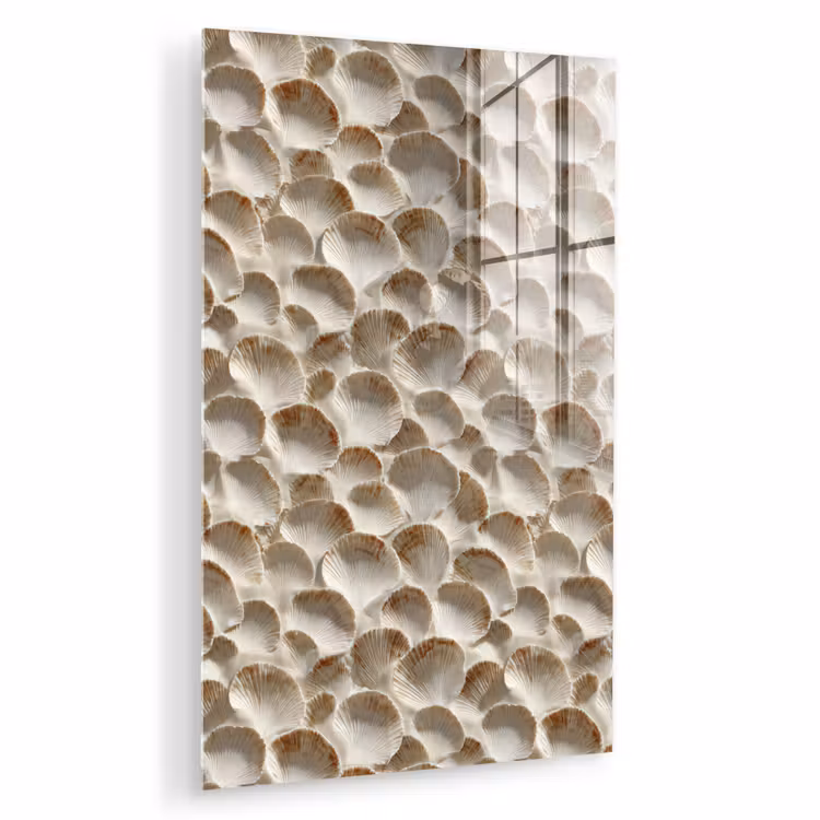 Glas schilderij - Schelpen - Waaiervorm - Wit — 1