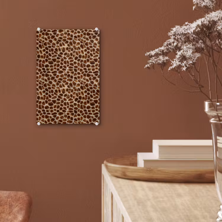 Glas schilderij - Schildpad - Bruin - Patroon — 6