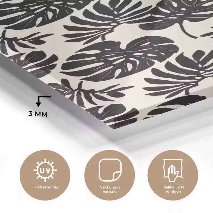 Glas schilderij - Modern - Monstera - Zwart — 3