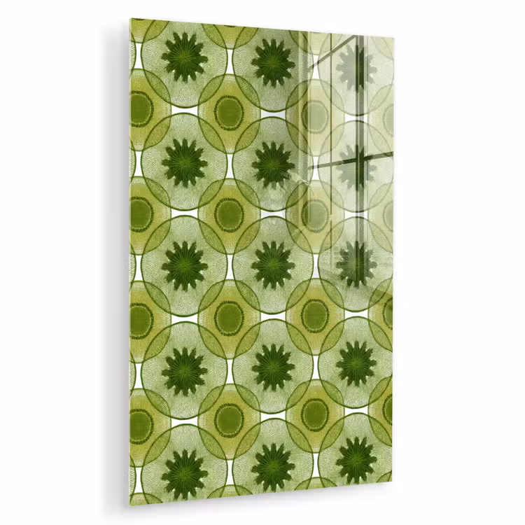Glas schilderij - Cirkels - Patroon - Groen — 1