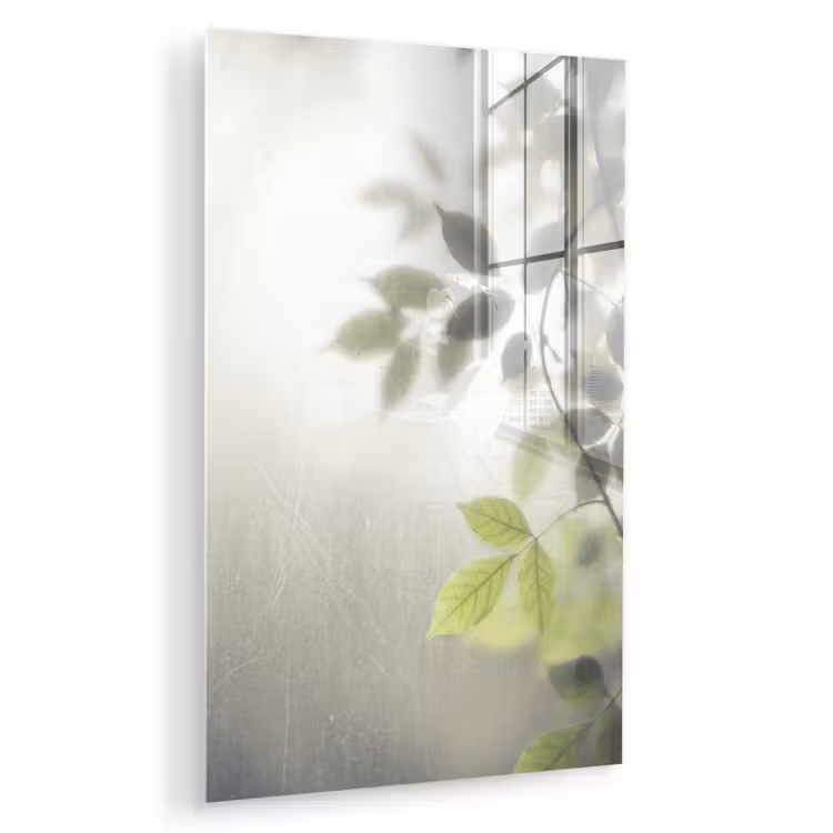 Glas schilderij - Blad - Schaduw - Natuur - Abstract - Groen — 1